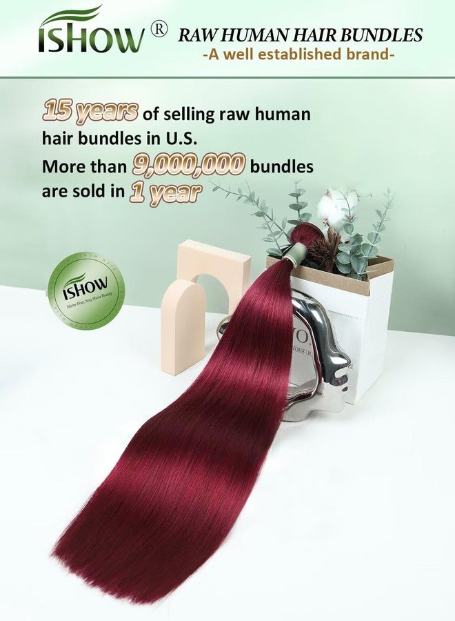 ISHOW Raw Human Hair Bundles, 100% Unprocessed Virgin Human Hair, 15A Straight Premium Quality Bundles Producer, 14 Inch Single Bundle, Long Lasting, Red Burgundy Color 99J - Image 2